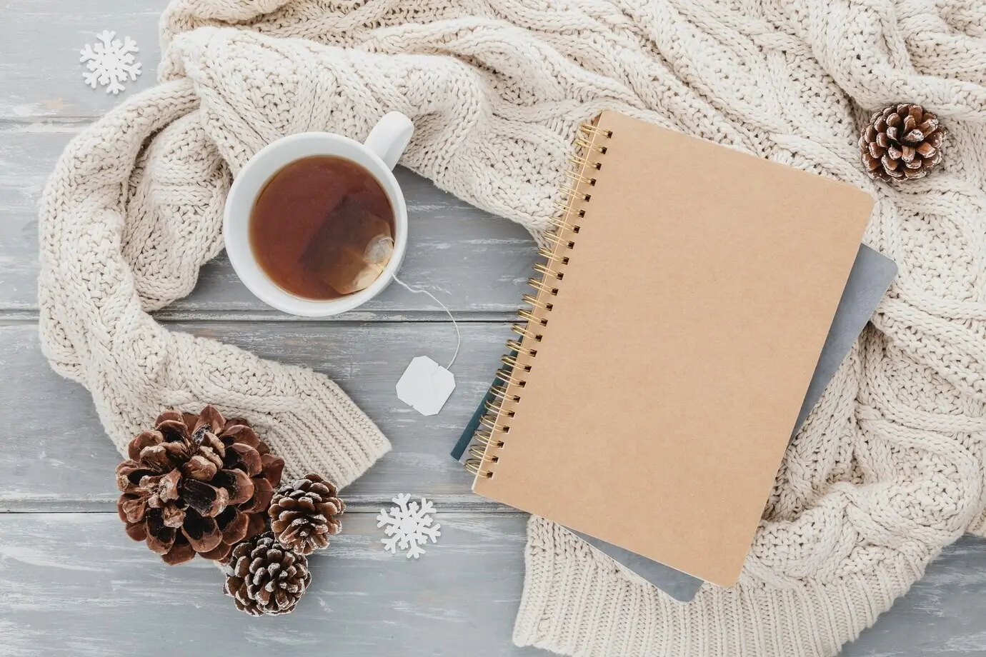 Overhead view of a teacup with pine cones and an agenda